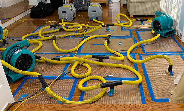 Professional Water Damage Restoration technician working in Kingman, ME